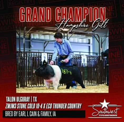 Littermate to Glacier